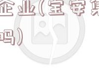 宝安企业(宝安集团是国企吗)