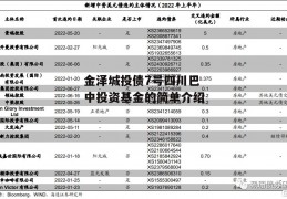 金泽城投债7号四川巴中投资基金的简单介绍