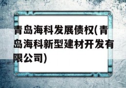 青岛海科发展债权(青岛海科新型建材开发有限公司)