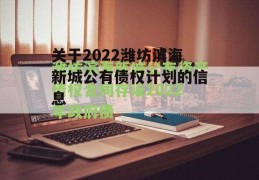 关于2022潍坊滨海新城公有债权计划的信息