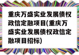 重庆万盛实业发展债权政信定融项目(重庆万盛实业发展债权政信定融项目招标)