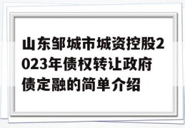 山东邹城市城资控股2023年债权转让政府债定融的简单介绍