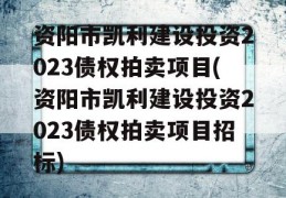 资阳市凯利建设投资2023债权拍卖项目(资阳市凯利建设投资2023债权拍卖项目招标)