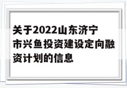 关于2022山东济宁市兴鱼投资建设定向融资计划的信息