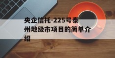 央企信托-225号泰州地级市项目的简单介绍