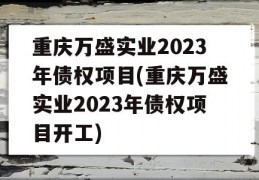 重庆万盛实业2023年债权项目(重庆万盛实业2023年债权项目开工)