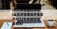 山东济清建设开发资产2022年收益权项目(山东济清建设开发资产2022年收益权项目招标)