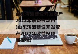 山东济清建设开发资产2022年收益权项目(山东济清建设开发资产2022年收益权项目招标)