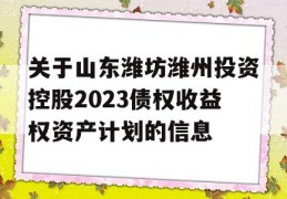 关于山东潍坊潍州投资控股2023债权收益权资产计划的信息