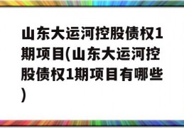 山东大运河控股债权1期项目(山东大运河控股债权1期项目有哪些)