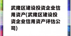 武隆区建设投资企业信用资产(武隆区建设投资企业信用资产评估公司)