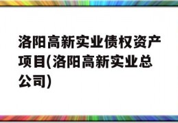 洛阳高新实业债权资产项目(洛阳高新实业总公司)