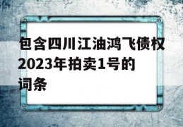 包含四川江油鸿飞债权2023年拍卖1号的词条