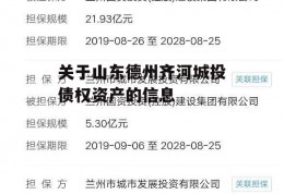 关于山东德州齐河城投债权资产的信息