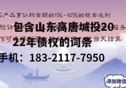 包含山东高唐城投2022年债权的词条