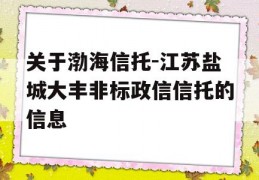 关于渤海信托-江苏盐城大丰非标政信信托的信息