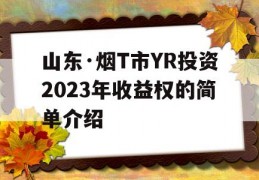 山东·烟T市YR投资2023年收益权的简单介绍