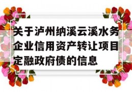 关于泸州纳溪云溪水务企业信用资产转让项目定融政府债的信息