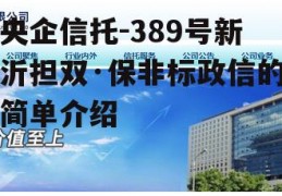 央企信托-389号新沂担双·保非标政信的简单介绍