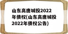 山东高唐城投2022年债权(山东高唐城投2022年债权公告)