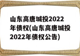 山东高唐城投2022年债权(山东高唐城投2022年债权公告)