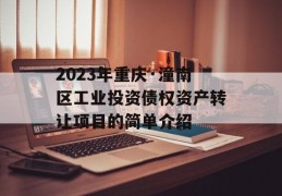 2023年重庆·潼南区工业投资债权资产转让项目的简单介绍