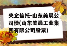 央企信托-山东美晨公司债(山东美晨工业集团有限公司股票)