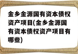 金乡金源国有资本债权资产项目(金乡金源国有资本债权资产项目有哪些)