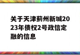 关于天津蓟州新城2023年债权2号政信定融的信息