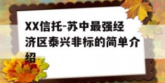 XX信托-苏中最强经济区泰兴非标的简单介绍