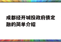 成都经开城投政府债定融的简单介绍