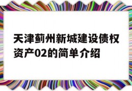 天津蓟州新城建设债权资产02的简单介绍