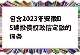 包含2023年安徽DS建投债权政信定融的词条