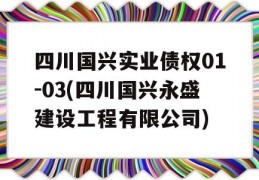 四川国兴实业债权01-03(四川国兴永盛建设工程有限公司)