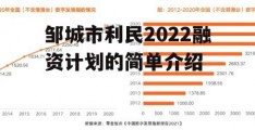 邹城市利民2022融资计划的简单介绍