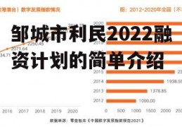 邹城市利民2022融资计划的简单介绍