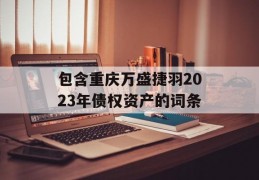 包含重庆万盛捷羽2023年债权资产的词条