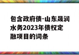 包含政府债-山东晟润水务2023年债权定融项目的词条