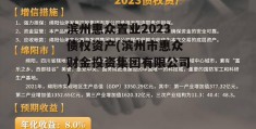 滨州惠众置业2023债权资产(滨州市惠众财金投资集团有限公司)