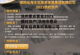 滨州惠众置业2023债权资产(滨州市惠众财金投资集团有限公司)