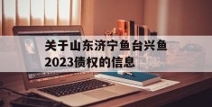 关于山东济宁鱼台兴鱼2023债权的信息