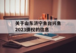 关于山东济宁鱼台兴鱼2023债权的信息