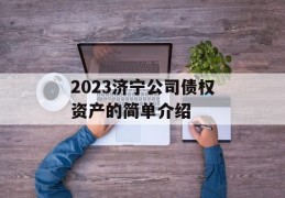 2023济宁公司债权资产的简单介绍