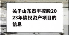 关于山东泰丰控股2023年债权资产项目的信息