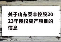 关于山东泰丰控股2023年债权资产项目的信息