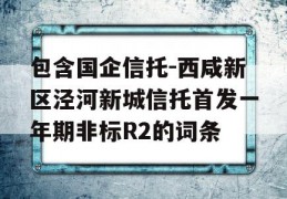 包含国企信托-西咸新区泾河新城信托首发一年期非标R2的词条
