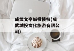 成武文亭城投债权(成武城投文化旅游有限公司)