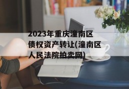 2023年重庆潼南区债权资产转让(潼南区人民法院拍卖网)