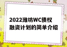 2022潍坊WC债权融资计划的简单介绍