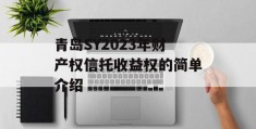 青岛SY2023年财产权信托收益权的简单介绍